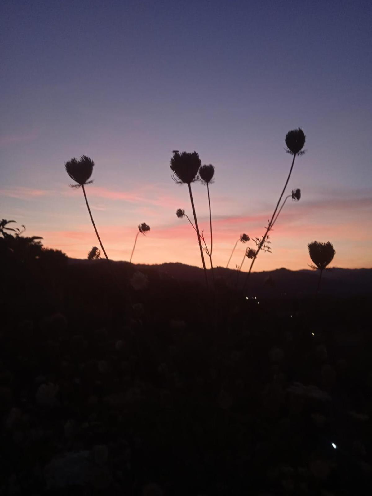Il Paradiso All'Improvviso Vezzano Ligure Bagian luar foto